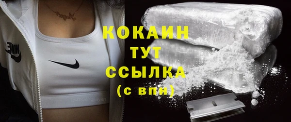 индика Майский