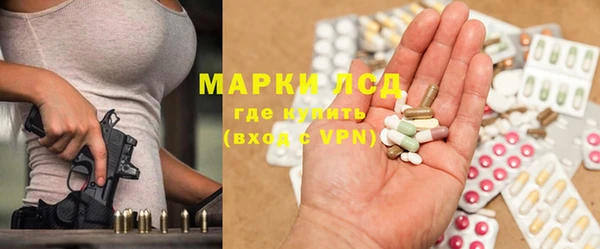 индика Майский