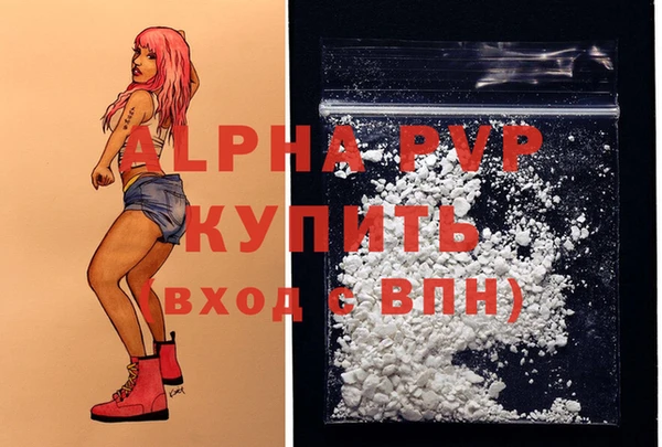 индика Майский
