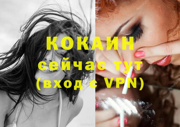 индика Майский