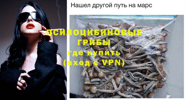 индика Майский