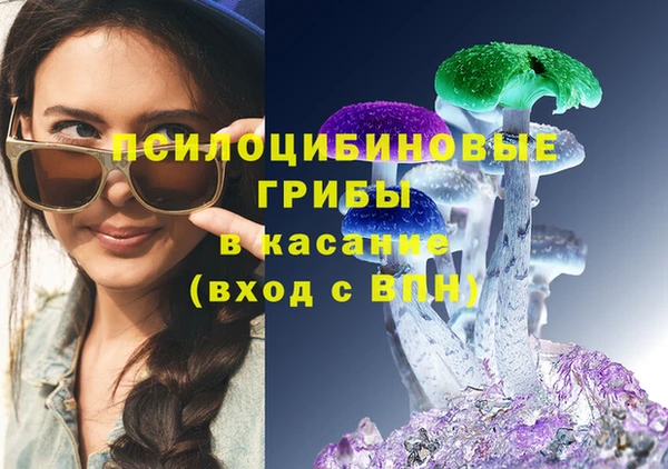 индика Майский
