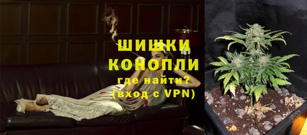 индика Майский