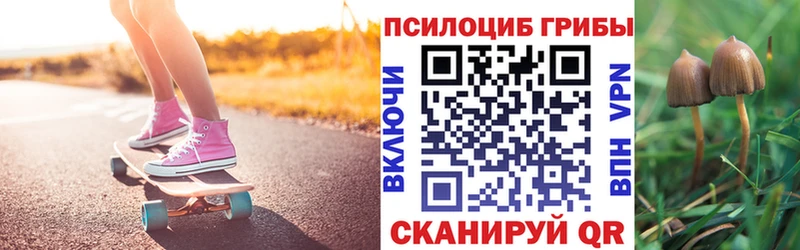 Купить где  Ртищево  Галлюциногенные грибы GOLDEN TEACHER 